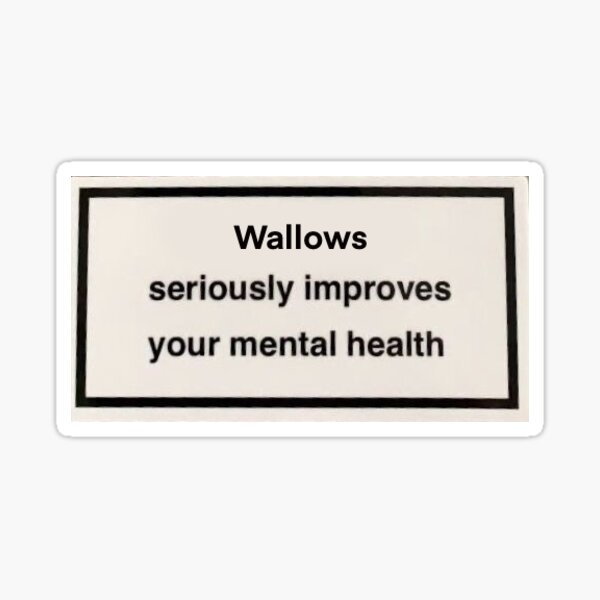 wallows health meme Sticker