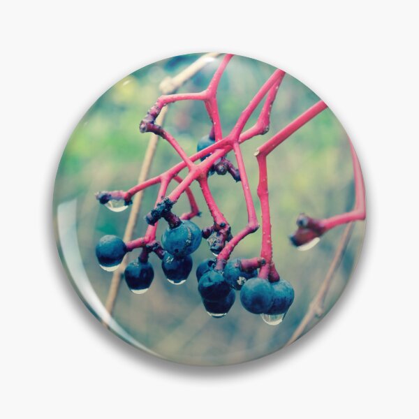 Item preview, Dogwood Berries 2 designed and sold by Robert Alsop.