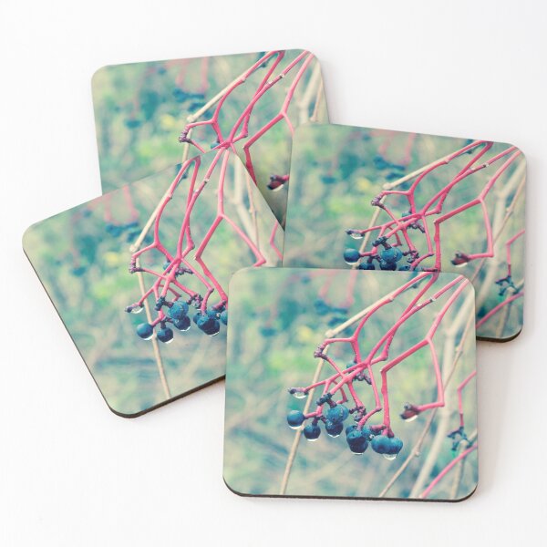 Item preview, Dogwood Berries 2 designed and sold by Robert Alsop.