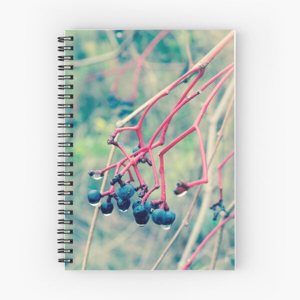 Item preview, Dogwood Berries 2 designed and sold by Robert Alsop.