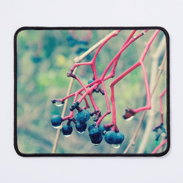 Item preview, Dogwood Berries 2 designed and sold by Robert Alsop.