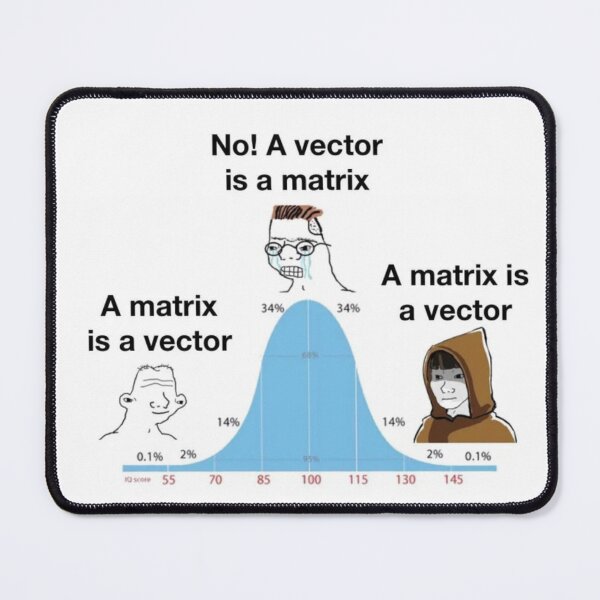 Item preview, Linear Algebra Vector Matrix Meme designed and sold by coolcat4023.