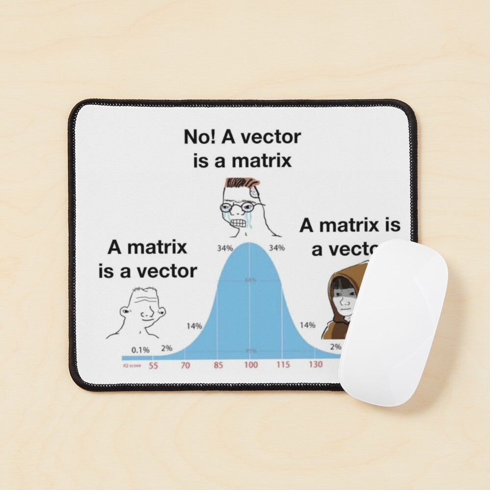 Gauss elimination meme (94) 사진