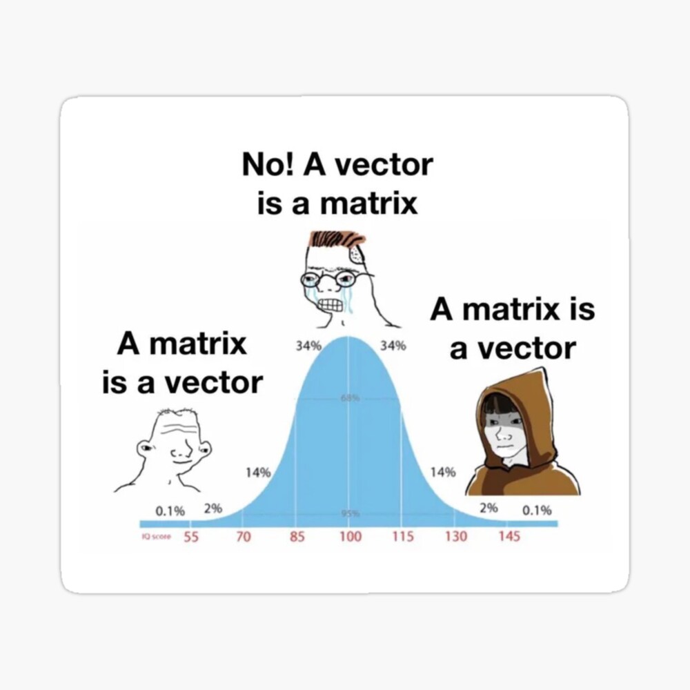 Linear Algebra Vector Matrix Meme