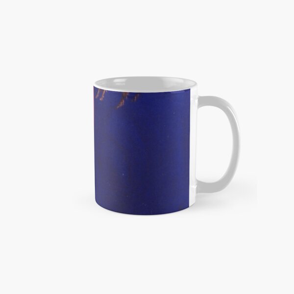 The Spell of the Bees Classic Mug