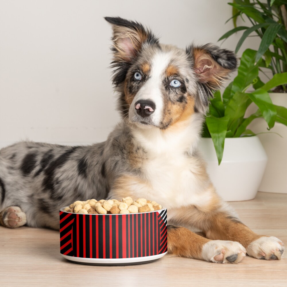 GLOBAL OPT III Pet Bowl