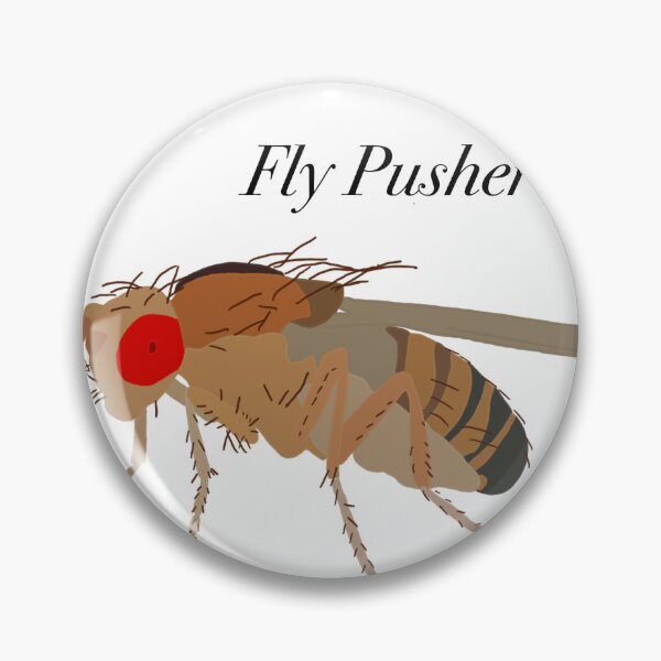 Item preview, Fly Pusher Drosophila designed and sold by Pocketsodders.