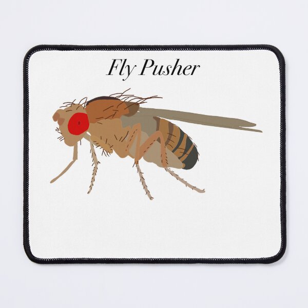 Item preview, Fly Pusher Drosophila designed and sold by Pocketsodders.