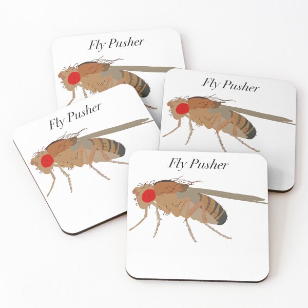 Item preview, Fly Pusher Drosophila designed and sold by Pocketsodders.