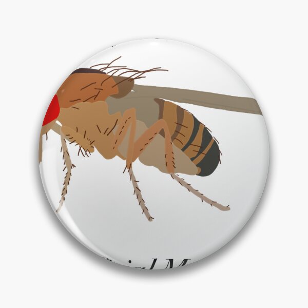 Item preview, Fly Pusher Official Member Drosophila Drawing designed and sold by Pocketsodders.