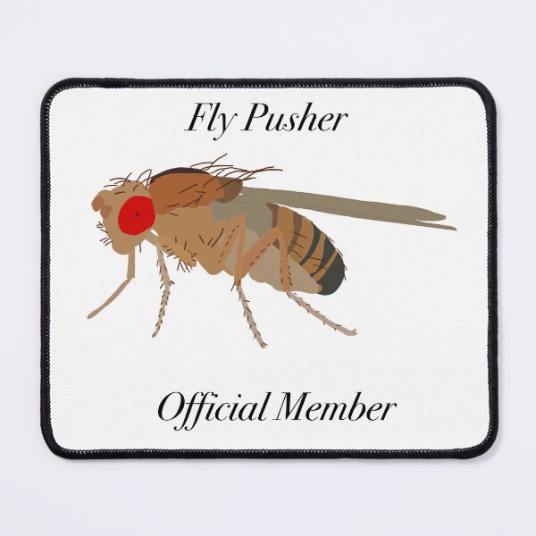 Item preview, Fly Pusher Official Member Drosophila Drawing designed and sold by Pocketsodders.