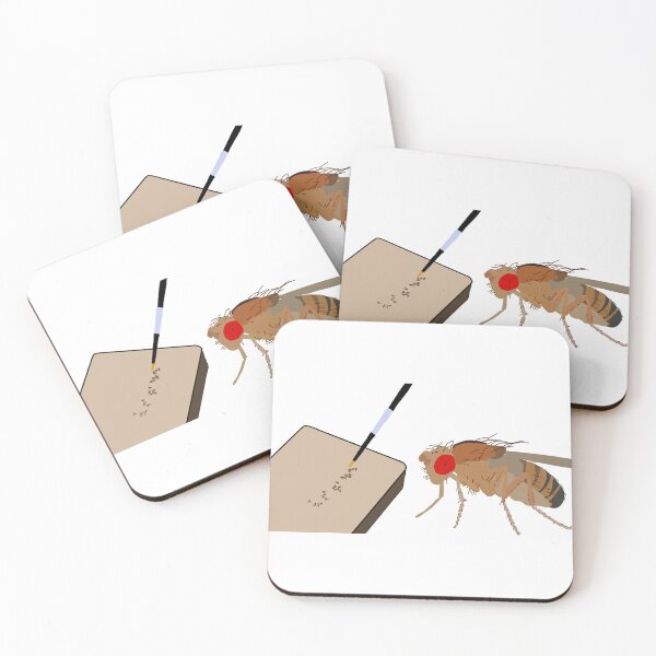 Item preview, Drosophila Work  designed and sold by Pocketsodders.