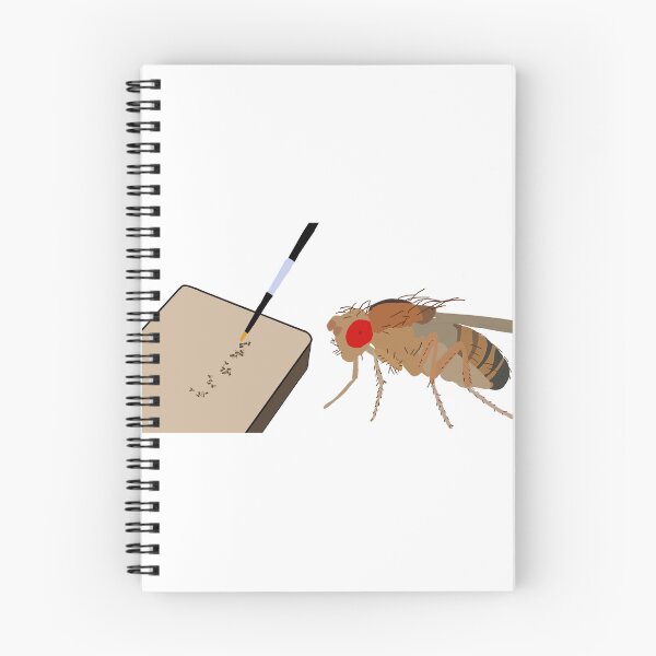 Item preview, Drosophila Work  designed and sold by Pocketsodders.