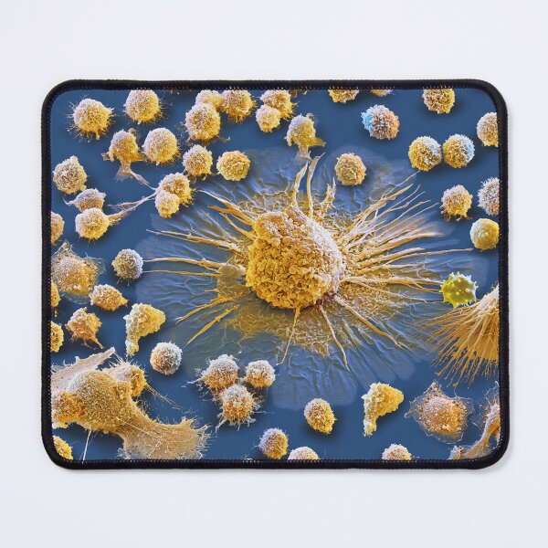 Item preview, Cytokine Storm, Immune System Cells, Micrograph designed and sold by ScienceSource.