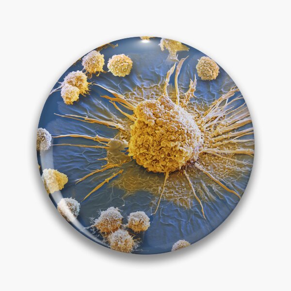 Item preview, Cytokine Storm, Immune System Cells, Micrograph designed and sold by ScienceSource.