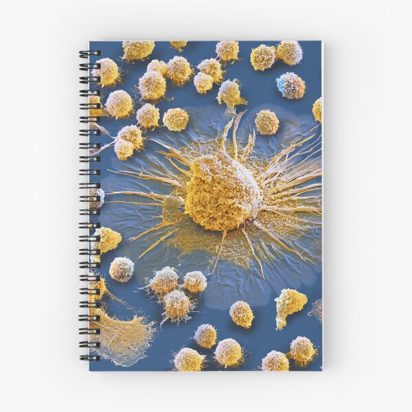 Item preview, Cytokine Storm, Immune System Cells, Micrograph designed and sold by ScienceSource.