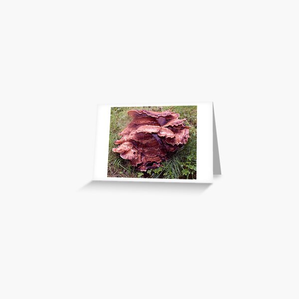 Anyone for Fungus? Greeting Card