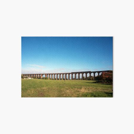 Culloden Viaduct with train Art Board Print