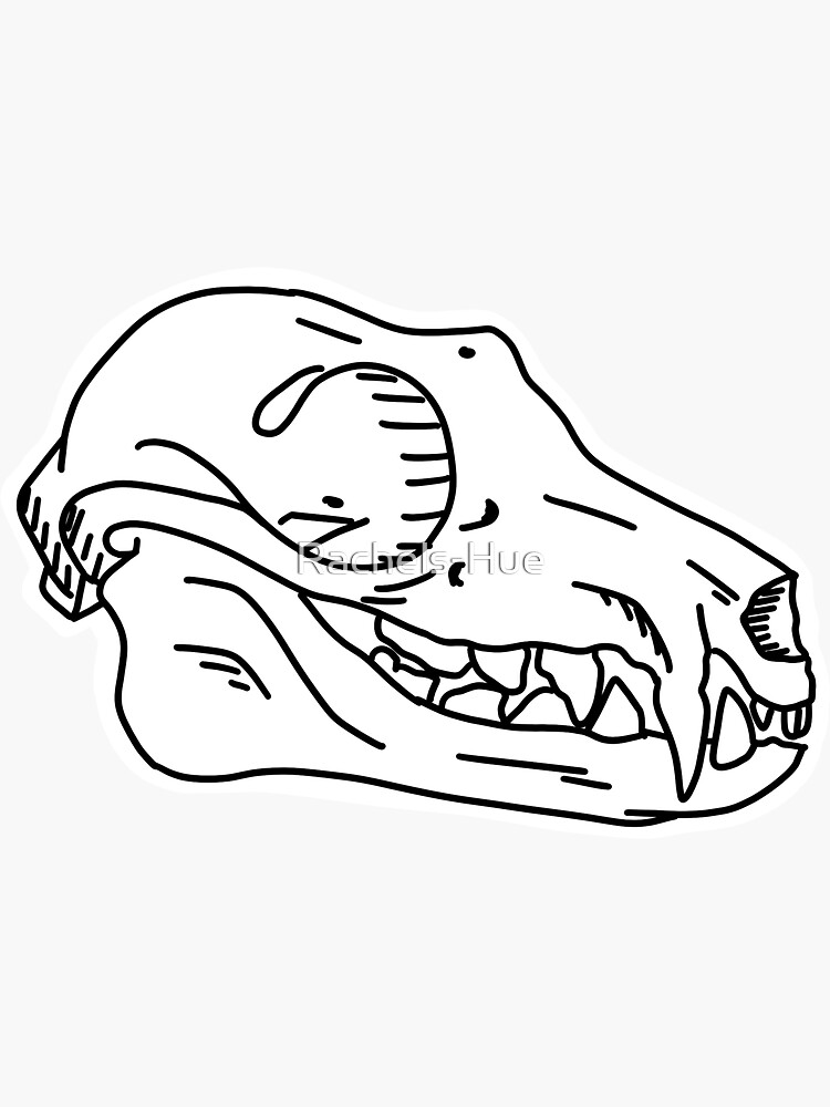 "Fruit Bat Skull Outline " Sticker for Sale by RachelsHue Redbubble