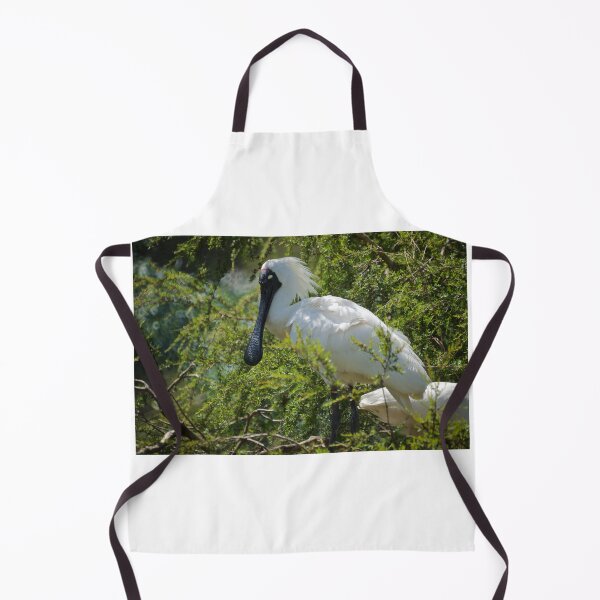 Item preview, Royal Spoonbill designed and sold by D-GaP.