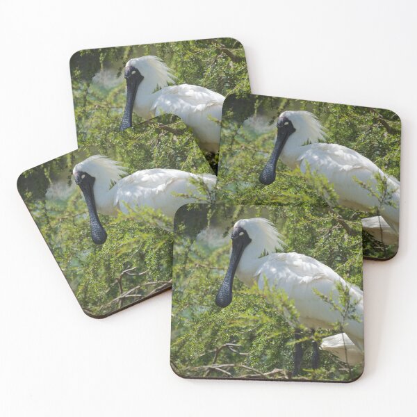 Item preview, Royal Spoonbill designed and sold by D-GaP.