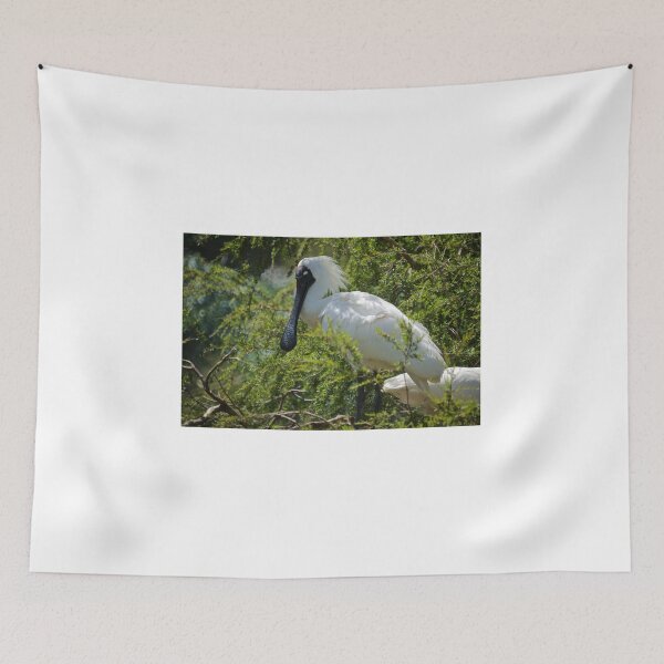 Item preview, Royal Spoonbill designed and sold by D-GaP.