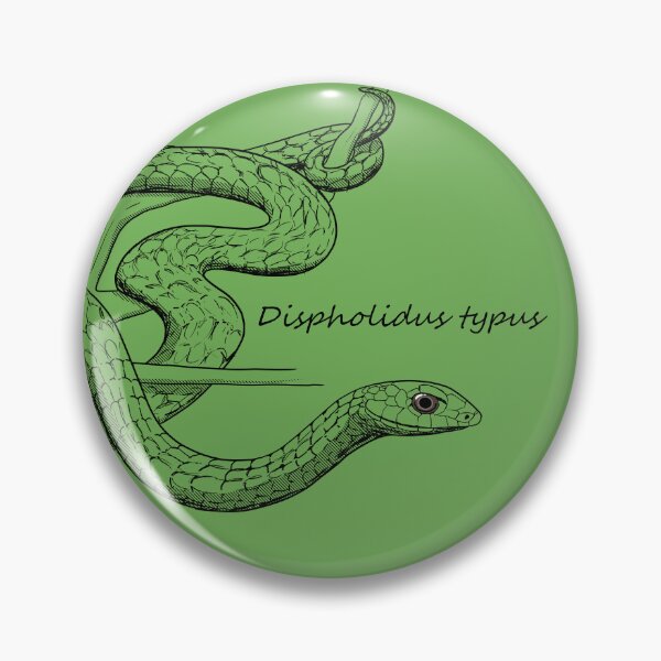 Item preview, Boomslang Snake Sketch designed and sold by ArtByBreah.