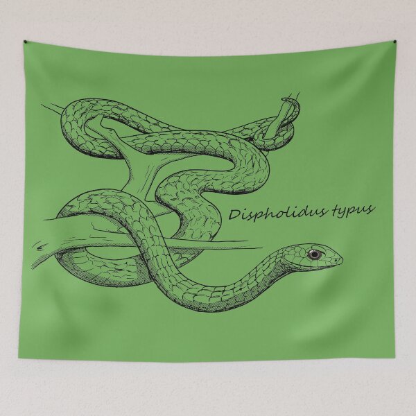 Item preview, Boomslang Snake Sketch designed and sold by ArtByBreah.