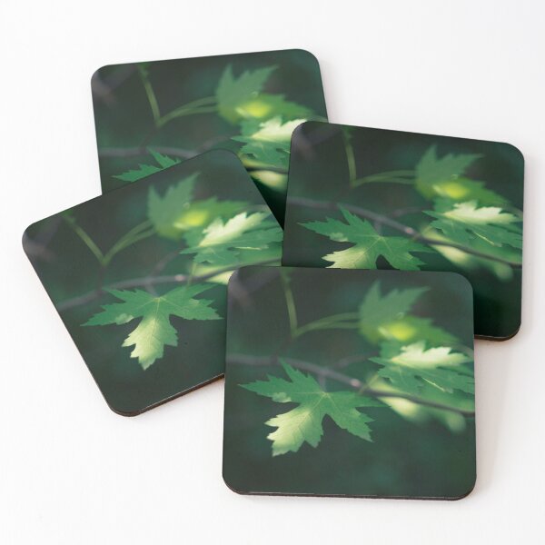 Item preview, Dappled sunlight in the forest designed and sold by lghtwrkr.