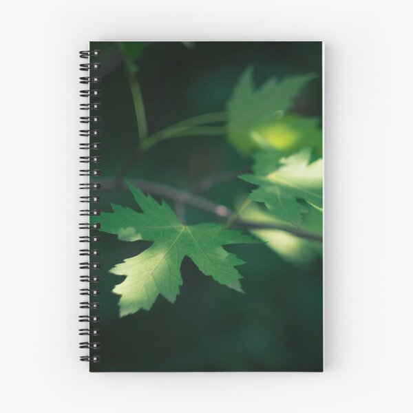 Item preview, Dappled sunlight in the forest designed and sold by lghtwrkr.