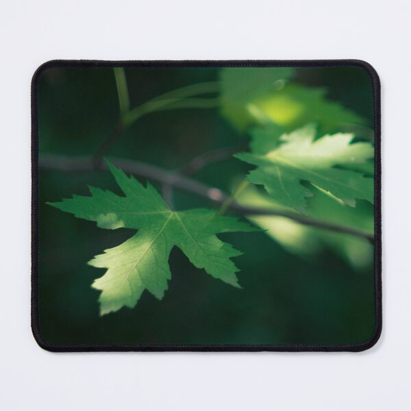 Item preview, Dappled sunlight in the forest designed and sold by lghtwrkr.