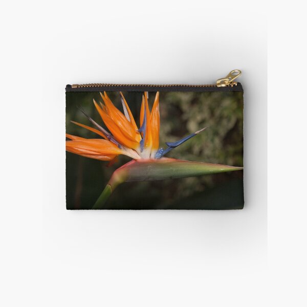Item preview, Bird of paradise flower designed and sold by alan tunnicliffe.