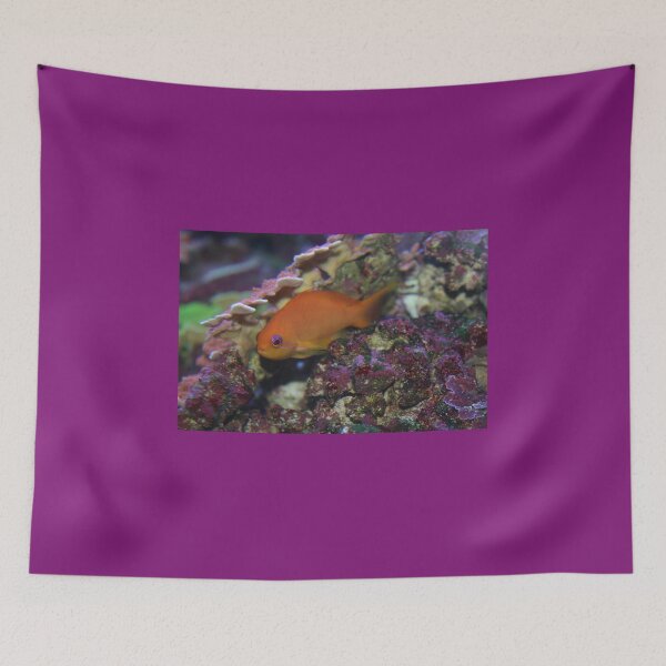 Item preview, Orange fish  designed and sold by Jennifer  Sweeney.