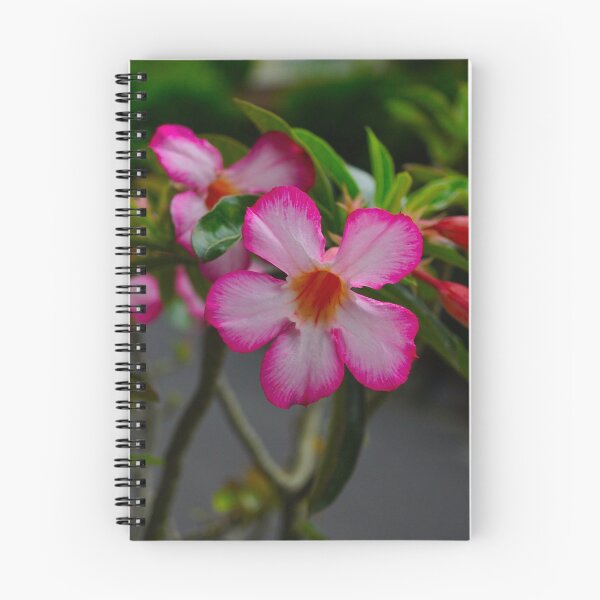 Item preview, Pink Flowers designed and sold by pracha.