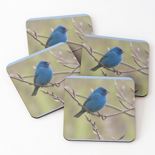Item preview, Indigo Bunting No.1 designed and sold by MaryLinH.