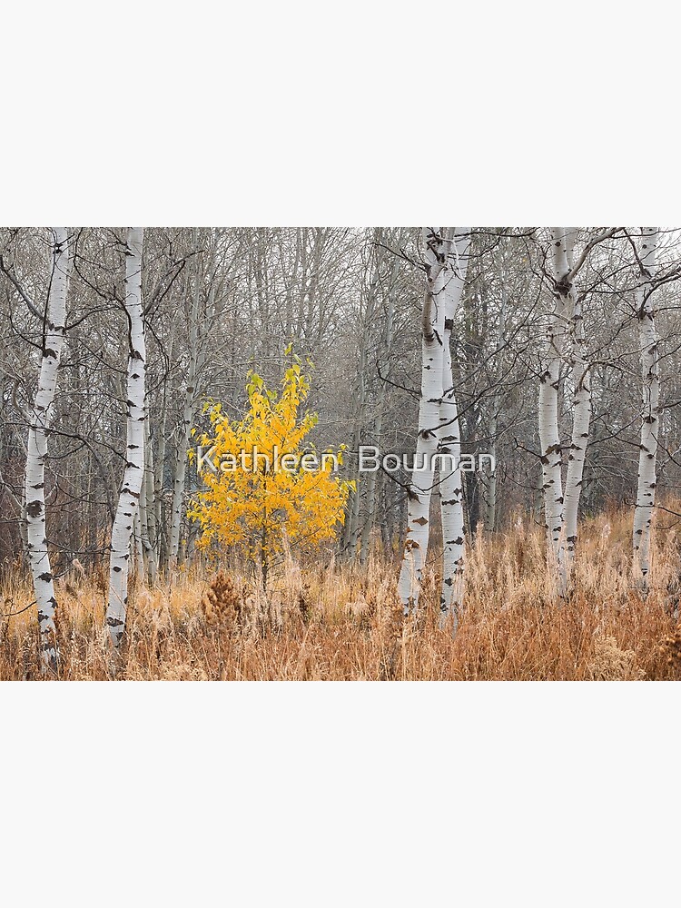 Fall Tree with Aspens by KathleenBowman