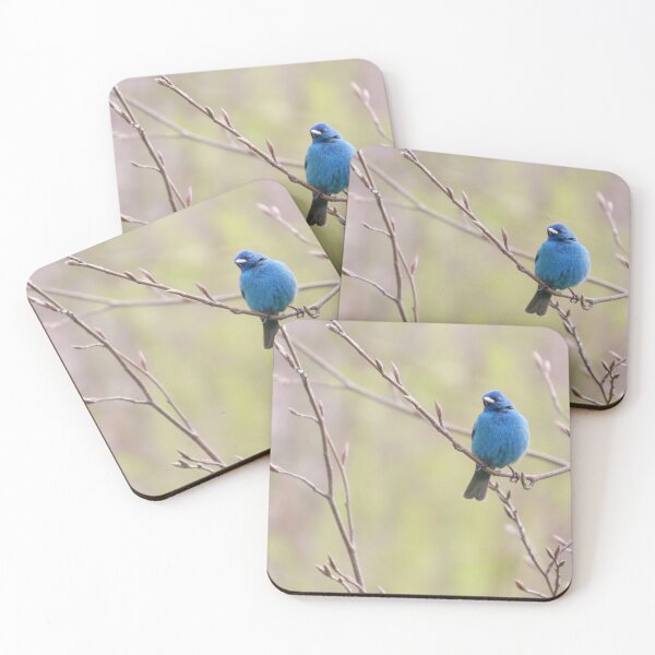Item preview, Indigo Bunting No.3 designed and sold by MaryLinH.