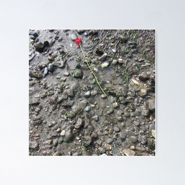 Item preview, rose  designed and sold by aimforpeace.