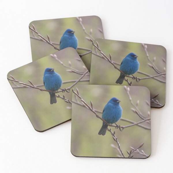 Item preview, Indigo Bunting No.4 designed and sold by MaryLinH.