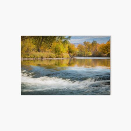 Boise River in the Fall Art Board Print