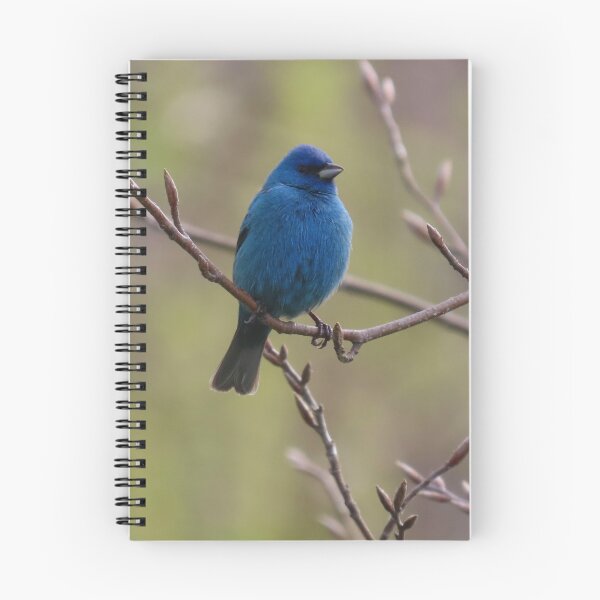Item preview, Indigo Bunting No.4 designed and sold by MaryLinH.