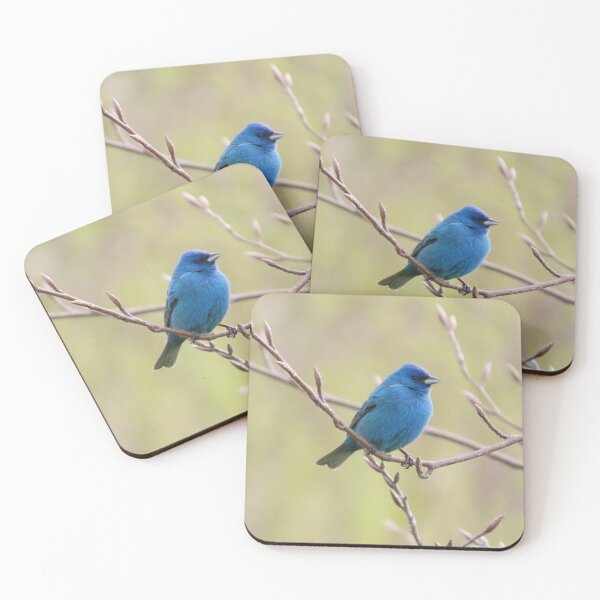Item preview, Indigo Bunting No.5 designed and sold by MaryLinH.
