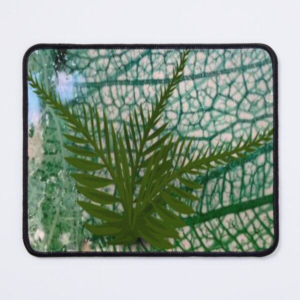 Item preview, Rainforest fern designed and sold by Aquila Light Pictures.