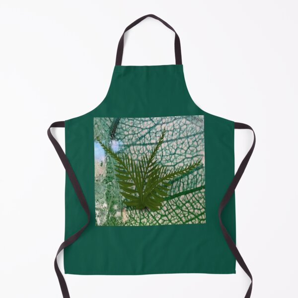 Item preview, Rainforest fern designed and sold by Aquila Light Pictures.