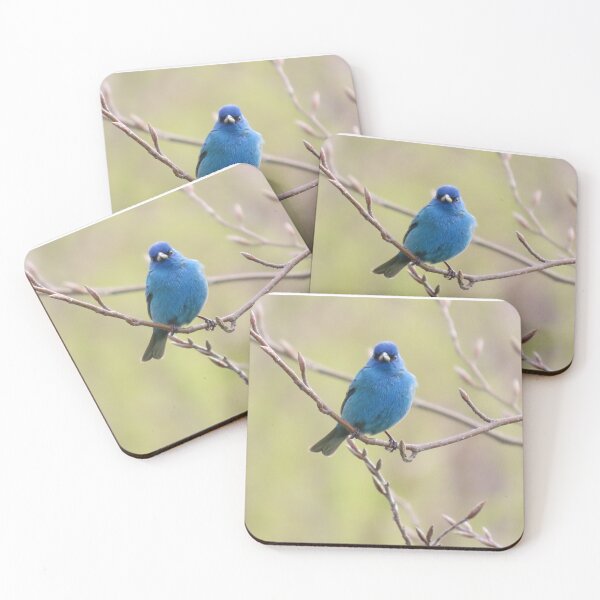 Item preview, Indigo Bunting No.6 designed and sold by MaryLinH.