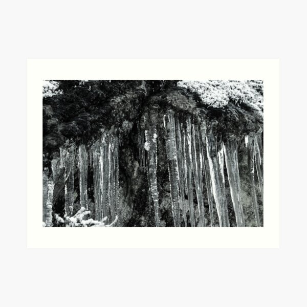 Winter's Tears II Art Print
