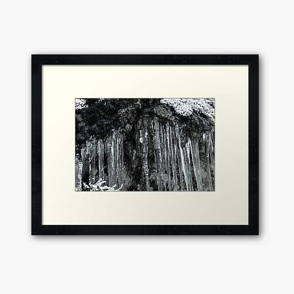 Winter's Tears II Framed Art Print