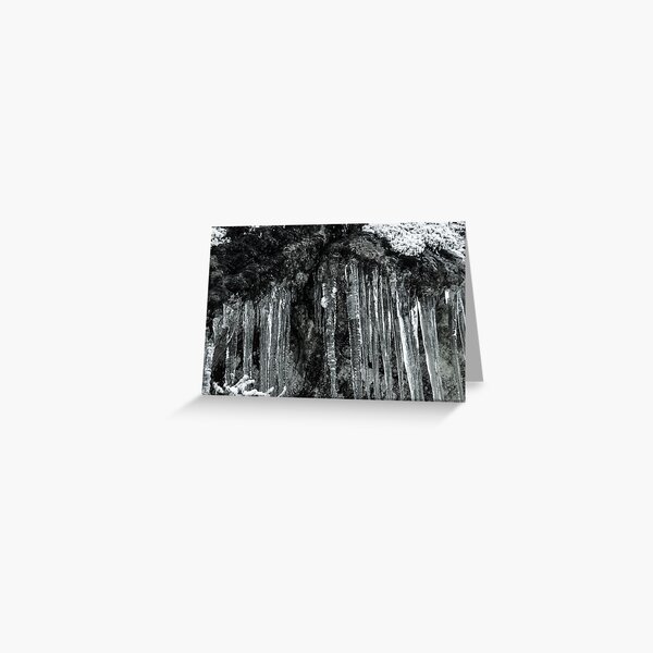 Winter's Tears II Greeting Card