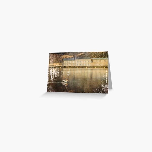 American White Pelican with filter Greeting Card