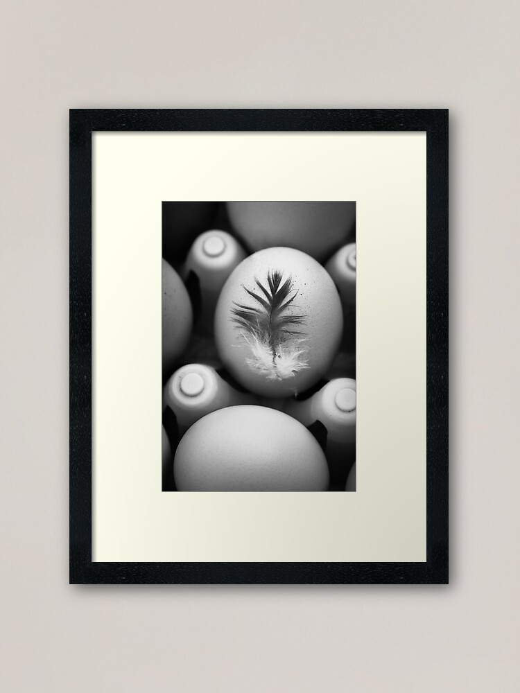 Alternate view of Feathered Egg in Black and White Framed Art Print